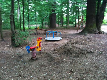 Park zdjęcie 3