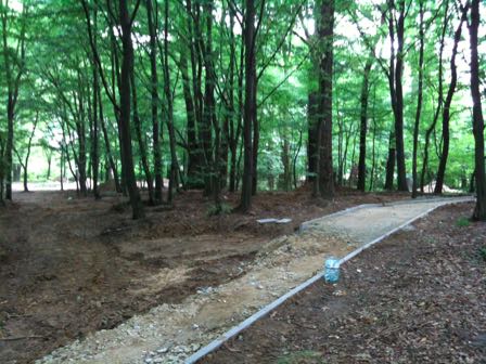 Park zdjęcie 5