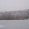 Staw, zima