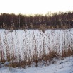 Staw, zima
