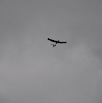 DSC_0447.JPG